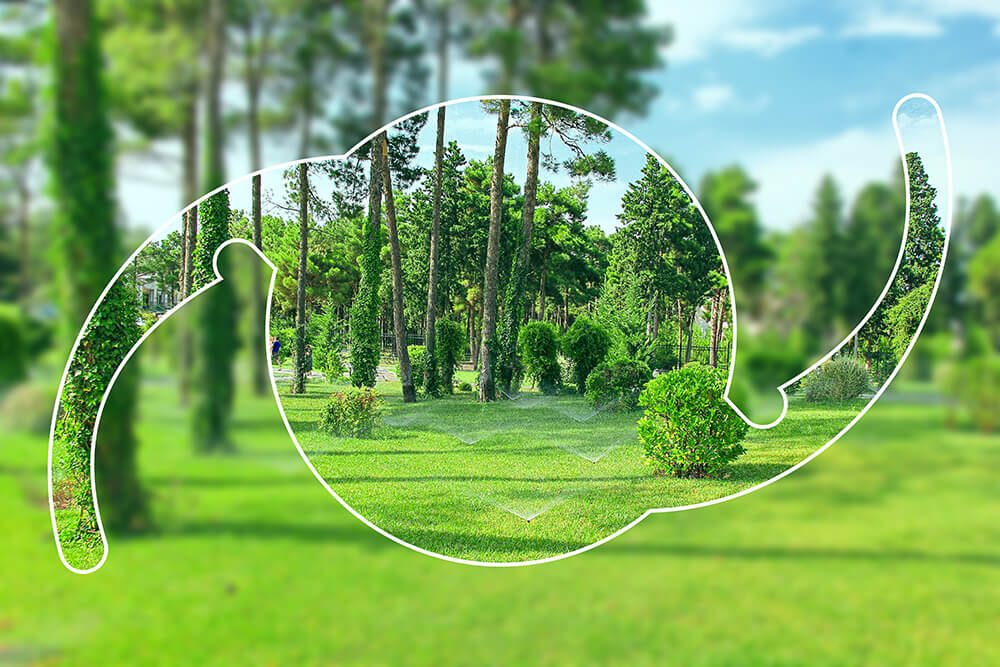 Seeing Through an IOL on a Golf Course